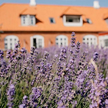 Jungshoved Praestegard B&B Præstø Exteriör bild